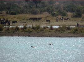 Waterbuck, Zebra, Wildebeest and 2 Hippo (in the water)