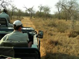 Starting the evening Game Drive - Joe driving Given spots.