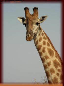 Up close and personal!