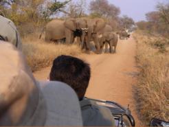 Safely out of range - wiser heads try and pacify the angry Aunt