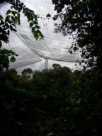 Birds of Eden - a 2Ha avery covering a natural gorge