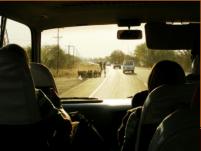 Local Traffic - Livingston