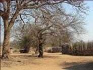 Houses with Brush Walled gardens