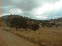 Villiage on a hilltop