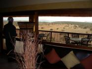 Sheba watching morning activity on the plain below